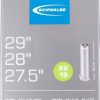Schwalbe AV19