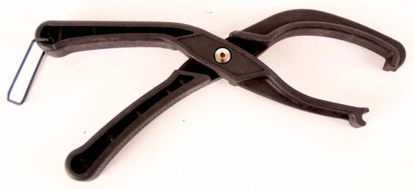 Bandoplegger
